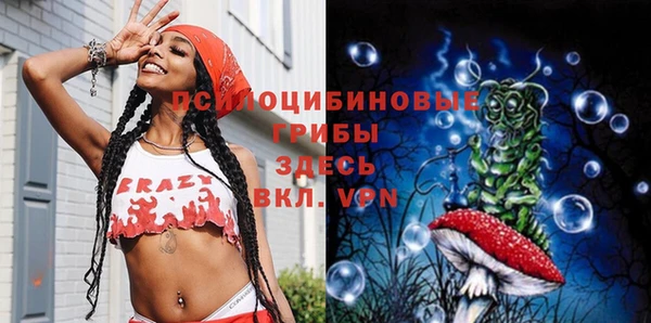 МДПВ Гусь-Хрустальный
