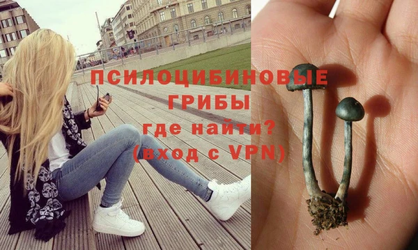 2c-b Заводоуковск