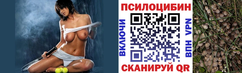 Галлюциногенные грибы мицелий  купить наркотик  Правдинск 